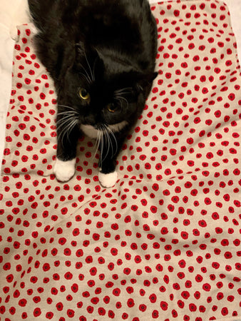 FURRY FRIEND BLANKET KITS!