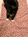 Cat (or Dog) Blanket KIT