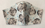 Kitty Cat Superstar - FACE MASK